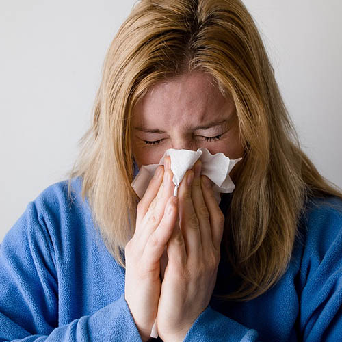 Vue interieure de la Pharmacie Lacheré